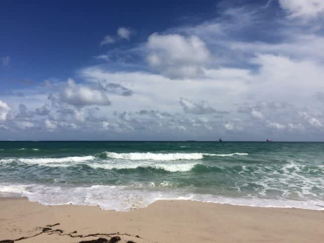 Moving to Delray Beach? Here’s What You Can Do Here