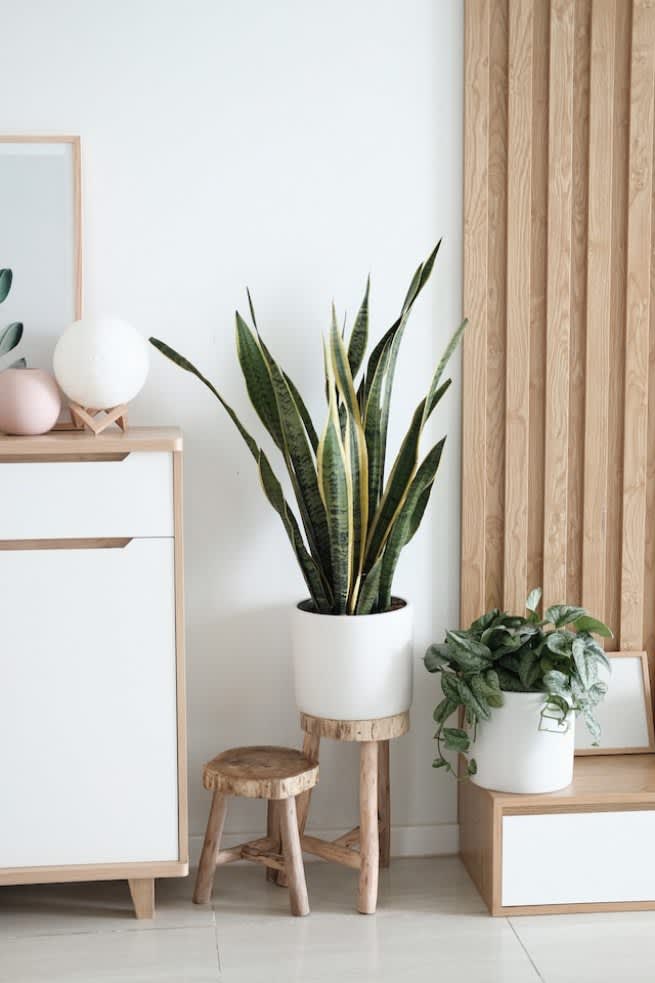 How To Decorate Your Home