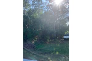 4841 Saxon Dr b 215, New Smyrna Beach, FL 32169, Sold 01/31/24