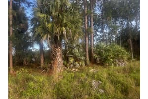 3801 S Atlantic Ave #221, New Smyrna Beach, FL 32169, Sold 06/14/24