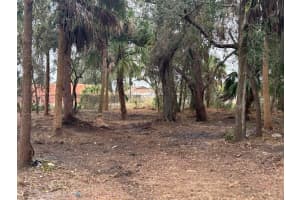 Xxxx Fiske, Rockledge, FL 32955 - MLS#1001025