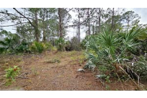 3799 S Atlantic Ave UNIT 404, Daytona Beach Shores, FL 32118, Sold 04/16/24