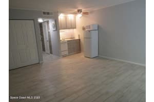 539 Cedaredge Dr, New Smyrna Beach, FL 32168, Sold 06/19/24