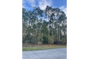 5201 S Atlantic Ave 205 a, New Smyrna Beach, FL 32169, Sold 03/15/24