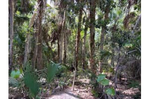 0 Cangro, Cocoa, Fl 32926 Sold 05/05/25