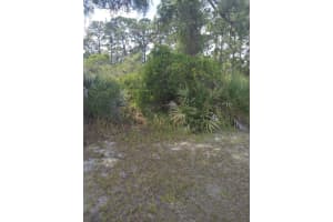 Unknown Unknown, Cocoa, Fl 32926, Cocoa Unknown Unknown, Cocoa, Fl 32926, Cocoa