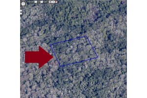 00000 No Access W Of Meadows Green Road, Mims, FL 32754 - MLS#1016105