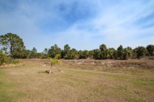 3041 Fitzpatrick Avenue, Palm Bay, FL 32908 - MLS#1016114