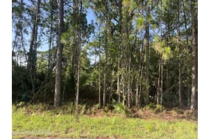 1326 Wade Street Se, Palm Bay, Fl 32909 Sold 12/13/24