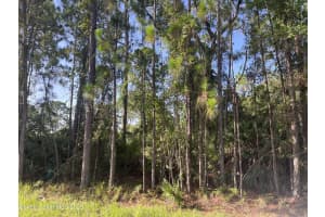 1326 Wade Street Se, Palm Bay, Fl 32909 Sold 12/13/24