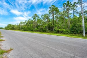 2915 Vista Palm Dr, Edgewater, FL 32141, Sold 11/25/24