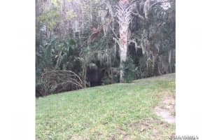 806 Navigators Way, Edgewater, FL 32141, Sold 10/16/24