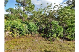 Lot 21 Brancusi Avenue, North Port, Fl 34288 Sold 11/26/24