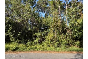 1187 Hutchins Street Se, Palm Bay, Fl 32909 Sold 01/13/25