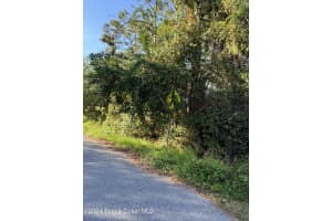 1187 Hutchins Street Se, Palm Bay, Fl 32909 Sold 01/13/25
