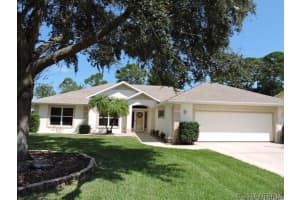 303 Citrus Open Dr, New Smyrna Beach, FL 32168, Sold 04/07/25