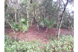 310 Johnson Avenue, Cape Canaveral, FL 32920 Sold 07/23/25