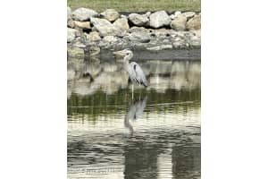 706 Helmsman Ln, Edgewater, FL 32141, Sold 03/31/25