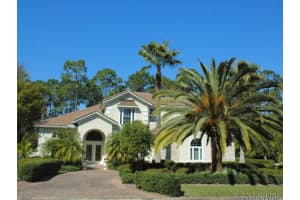 2733 Autumn Leaves Dr, Port Orange, FL 32128, Sold 12/27/24