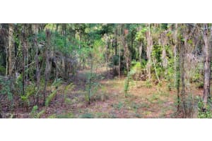 000 Mario Avenue, Cocoa, FL 32926 Sold 06/09/25