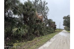 000 Mangrove Street, Mims, Fl 32754 - MLS#1035137