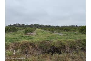 000 Mangrove Street, Mims, Fl 32754 - MLS#1035137