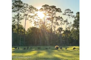 13525 111th Street, Fellsmere, FL 32948 Sold 04/24/25