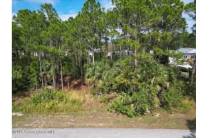 888 Bonita Ave, New Smyrna Beach, FL 32169, Sold 03/21/25