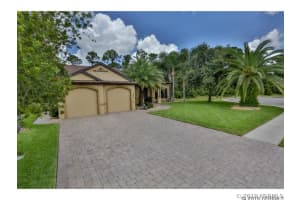 750 Grape Ivy Ln, New Smyrna Beach, FL 32168, Sold 03/14/25