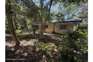 3123 Umbrella Tree Dr, Edgewater, FL 32141, Sold 05/13/25