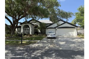 4749 Stoneview Circle, Oldsmar, FL 34677 Sold 08/21/25