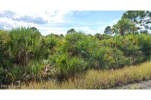 982 Astilbe Street, Palm Bay, FL 32908 Sold 12/12/25