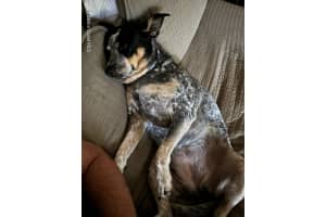 1545 22nd Avenue, Vero Beach, FL 32962 Sold 08/31/25