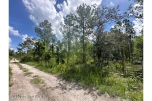00000 Unknown, Mims, FL 32754 Sold 08/25/25