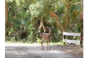 32801 Hwy 441 Lot 192, Okeechobee, FL 34972 - MLS#1051874