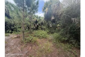 Tbd Star/Anjar SW, Palm Bay, FL 32908 Sold 08/15/25