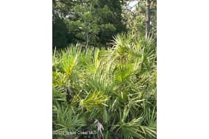 0000 Dolphin Drive, Orlando, FL 32822 Sold 11/04/25