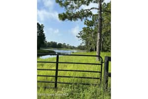 0000 Dolphin Drive, Orlando, FL 32822 Sold 11/04/25