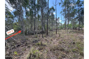 0000 Unknown, Malabar, FL 32950 Sold 03/16/26