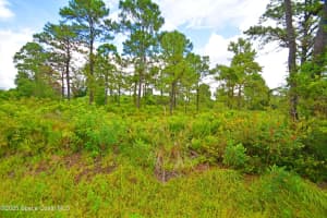 0 Oneida Street, Cocoa, FL 32926 Sold 09/29/25