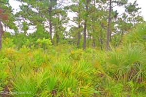 0 Oneida Street, Cocoa, FL 32926 Sold 09/29/25