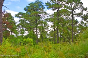 0 Oneida Street, Cocoa, FL 32926 Sold 09/29/25