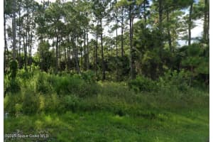 724 Daniels Avenue, Palm Bay, FL 32908 Sold 11/10/25