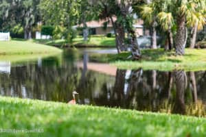 555 Greenleaf Lane, Titusville, FL 32780 Sold 10/03/25