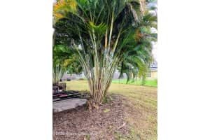 1959 Mosswood Drive, Melbourne, FL 32935 - MLS#1057689