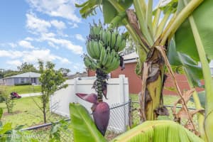 251 District Street, Palm Bay, FL 32909 - MLS#1065665