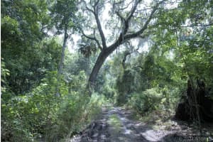 5700 Herons' Landing Drive, Rockledge, FL 32955 - MLS#1066290