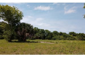 202 Ivory Coral Lane, Merritt Island, FL 32953 - MLS#1066641