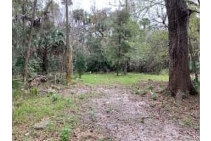 1631 Albert Drive, Melbourne, Fl 32935, Melbourne