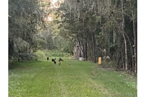 183 Ulster Lane, Melbourne, FL 32935 - MLS#1067613